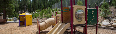 Help Guide Squaw Valley Park's Future!